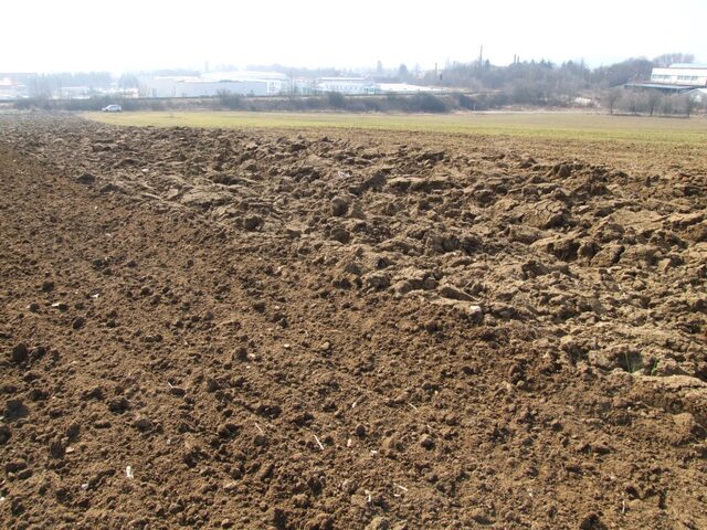 Anglický pěch HELIOS – foto 9